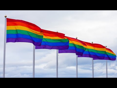 The LGBTQ+ Experience