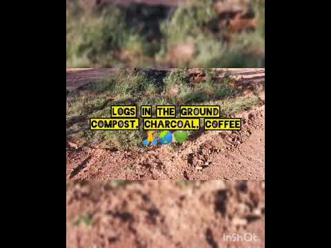 Lightning ridge syntropic oasis and projects - syntropic permanence 💚🌏