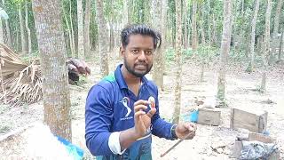 মৌমাছি ও খামারের যত্ন। ভালো থাকবে আপনার খামার।