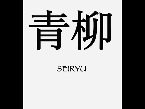 青柳型 Seiryu Kata performed slowly by André Bertel