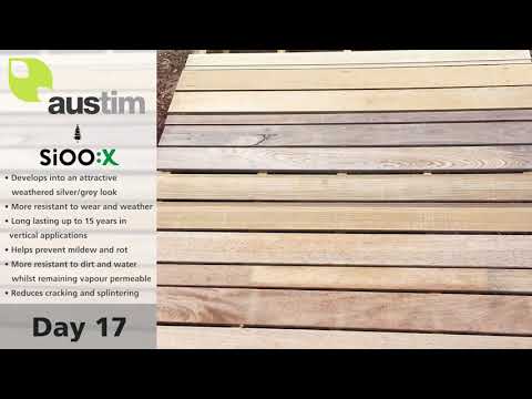 SiOO:X Timber Protection