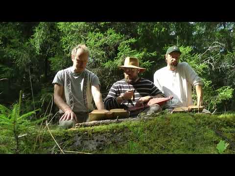 Kalevala laulettuna - Kahdeskymmenes runo