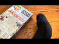 VHS And DVD Review Episode 124 Bob The Builder Bob S Big Plan 2005 VHS