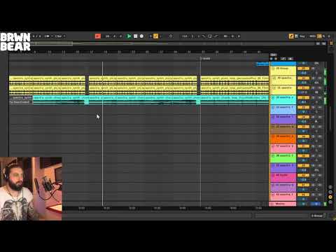 BRWN BEAR REVIEW   MR BILL SPECTRA