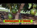 Muovakando By Kamande Wa Kioi