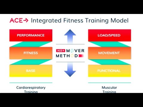 ACE Integrated Fitness training model