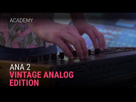 Vintage Drum Samples and Analog Synth Tones with ANA 2
