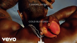 USHER, The-Dream - Cold Blooded (Visualizer)