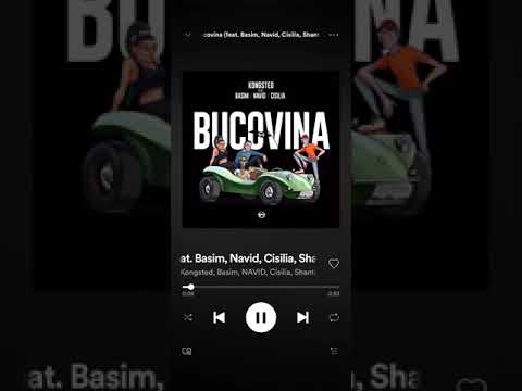 Bucovina kongsted,Basim,navid,cisilia