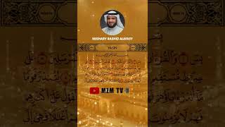 Download lagu SURAH YASIN - MISHARY RASHID ALAFASY #surahalquran #surahyasin #misharyrashidalafasy #mzmtv mp3