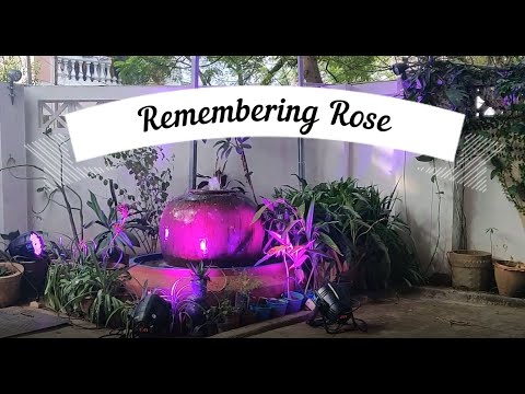 #Vesaarina at Rose B Rao - 1st Anniversary Memorial Meeting