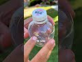 What Martinelli S Apple Juice 2 0 Looks Like