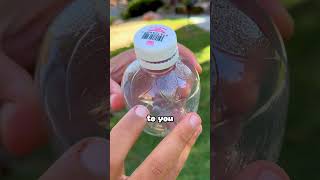 what martinelli&#39;s apple juice 2.0 looks like