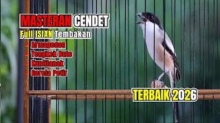 Download lagu Masteran Cendet Full Isian Tembakan Terbaik 2026 mp3
