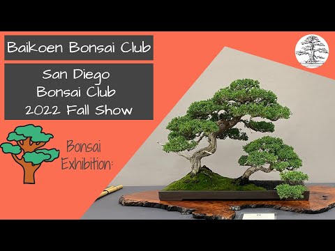San Diego Bonsai Club - 2022 Fall Show - Bonsai Exhibition - Baikoen Bonsai Club