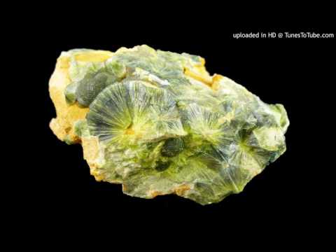 David Shea - fragment of satyricon