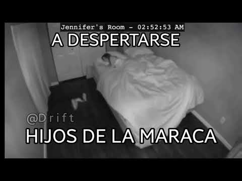 A despertarse Hijos de la maraca