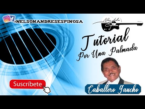 Por Una Palmada - Caballero Gaucho