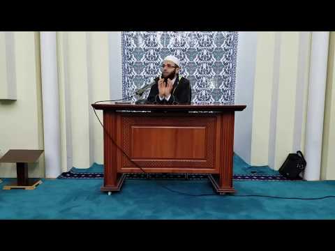 19 - Reflektime mbi suren Merjem