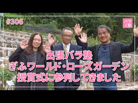 jardin-papillons-aubépine-fleurs-blanches-plante