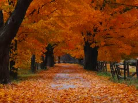 Videoclip de Easy Ride — Madonna