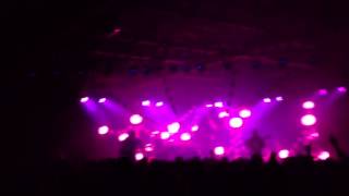 Senseless- Portugal. The man