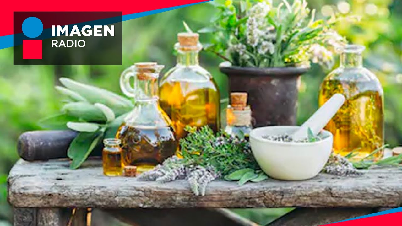 Cómo tener en casa una farmacia natural | Bien y Saludable