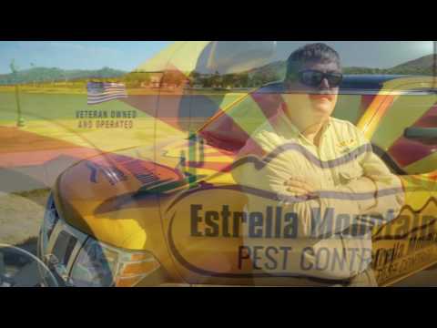 Estrella Publishing video.
