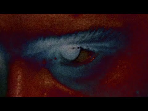 DouleurDolor - Si me Pierdo (Lyric Video)