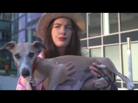 Hrdina všech tlapek ? | Sogsy mění psí životy k lepšímu