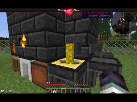 Minecraft The Ferret Business