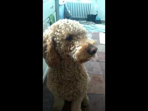 Happy Birthday Terri!!