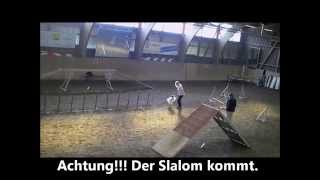 preview picture of video 'Papillon & Beagle   Agility Birmensdorf 30.10.11'