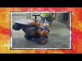 AFV Honorable Mentions Season 15 Episode 5