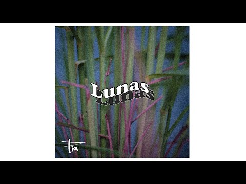 Lunas | pinx