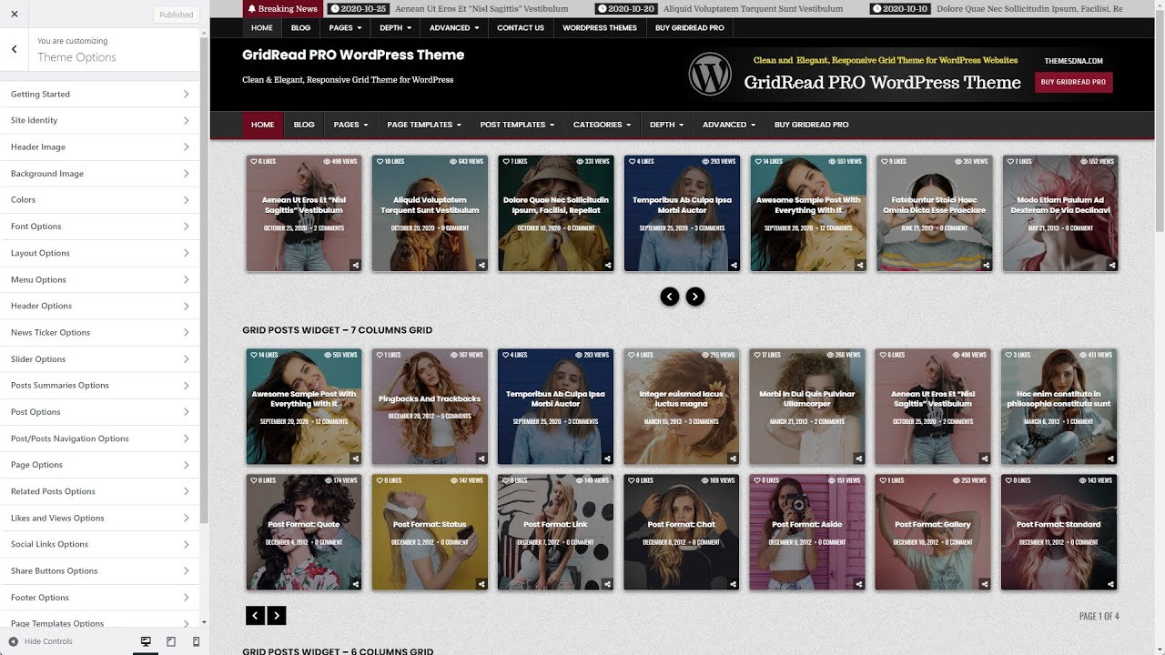 Customizer Theme Options - GridRead PRO WordPress Theme