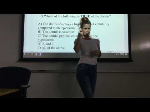 A and P Practice Test: Integumentary Part 2