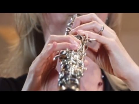 De Instrumenten Uit Het Orkest: Hobo - Orkest van het Oosten