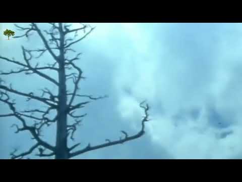 jay electronica type beat - 'slowburn'