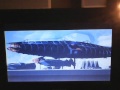 Opening To Dinosaur 2001 DVD