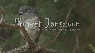 Aerial 1080 operation in the Abel Tasman National Park