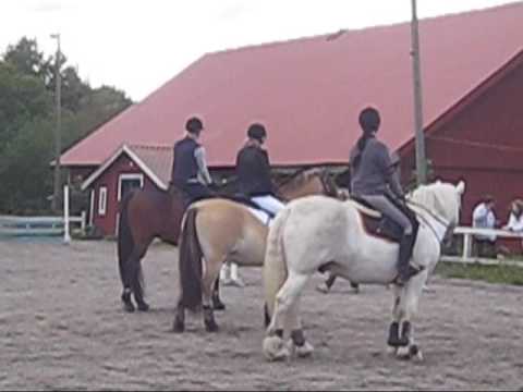 Hoppning på skörby 13 september 2009