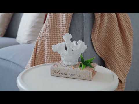 10 Shell Street, Nerang, QLD 4211, 5 ਕਮਰੇ, 3 ਬਾਥਰੂਮ, House