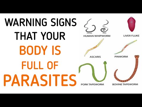 Paraziták jelenléte felnőttekben