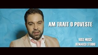 Florin Salam - Am trait o poveste [oficial audio] 2017