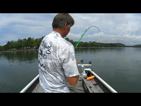 Can't Beat The Heat Summer Catfish