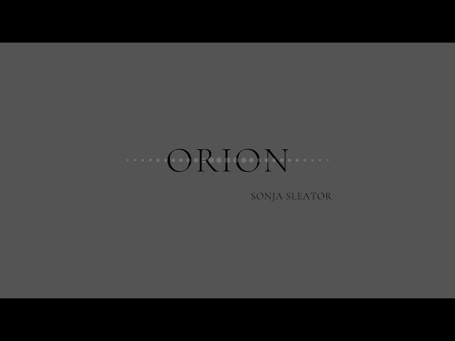  Orion - Sonja Sleator