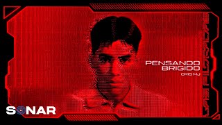 Cover art for Pensando brigido