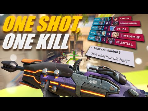 POV: You're a lore accurate Widowmaker