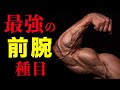 【筋トレ】前腕を鍛えるのに最も効果的な種目【ビーレジェンド プロテイン】
